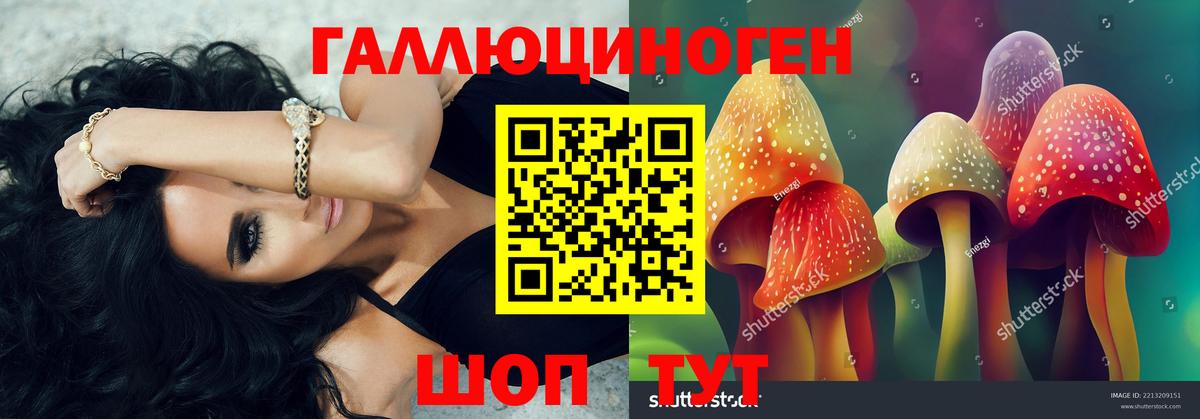 Псилоцибиновые грибы MAGIC MUSHROOMS  Вход с VPN  Избербаш  Псилоцибиновые грибы Cubensis 